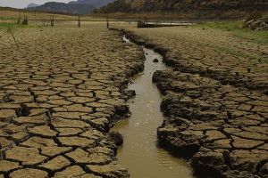 La Junta aprueba elaborar planes especiales para situaciones de sequía en las cuencas andaluzas