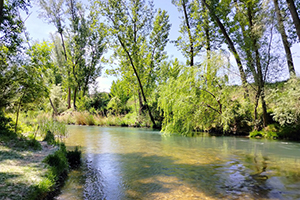 Una tesis doctoral del IIAMA estudia la afección de los pesticidas a las masas de agua de la Demarcación Hidrográfica del Júcar