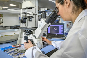 LTL es primer laboratorio acreditado para la detecci&oacute;n de mejill&oacute;n cebra mediante ADN ambiental