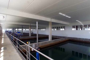 Cadagua se adjudica la MEJORA de la ETAP de Varsovia en Polonia por casi 6 M€