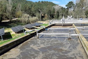 Investigadores del IIAMA-UPV desarrollan una metodología para evaluar los riesgos sanitarios del agua regenerada con microalgas