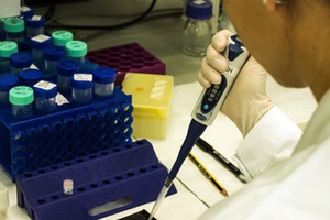 Determinan que H. pylori sobrevive en las aguas potables y residuales a través de las amebas de vida libre