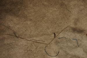 IPROMA desarrolla una t&eacute;cnica pionera para cuantificar la presencia de micropl&aacute;sticos en aguas y arenas