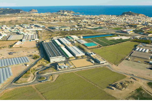 La CH del Segura firma dos contratos por 1,34 M&euro; para redactar los anteproyectos de dos nuevas desalinizadoras