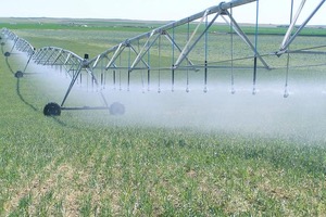 Reutilización de agua para riego agrícola: nueva posición del Consejo de Europa