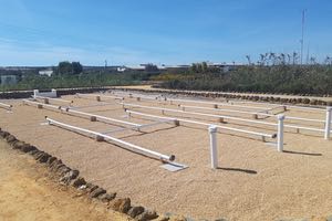 CENTA arranca un nuevo humedal artificial de flujo vertical en su planta experimental de Carrión en Sevilla