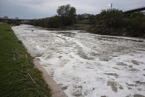 Sigue en marcha el "Plan de choque para el seguimiento del impacto ambiental en el Besòs" tras el incendio de Montornès