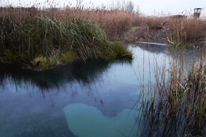 El MAGRAMA licita por 101 millones de euros los programas de seguimiento del estado de las aguas superficiales hasta 2021