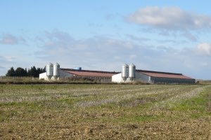 El Gobierno de Aragón designa y modifica las zonas vulnerables a la contaminación de las aguas por nitratos agrarios