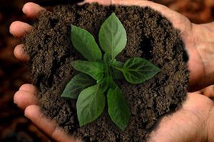 DAM participa en un proyecto para impulsar la transferencia y aplicaci&oacute;n de tecnolog&iacute;a innovadora en la agricultura