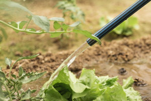 RE2AQUA valida en entornos reales el potencial de la reutilizaci&oacute;n de agua en el sector agroalimentario