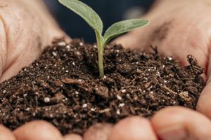 Facsa trabaja en la producción de pesticidas y estimulantes biológicos a partir de residuos del agua para la agricultura sostenible