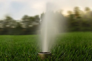 Más de 2.000 hectáreas verdes se riegan ya con agua regenerada en la Comunidad de Madrid