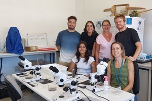 Un estudio de la UB identifica los restos de césped artificial como fuente importante de contaminación del medio acuático