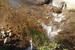 La CHD licita un contrato para la revisión de aprovechamientos de aguas superficiales por más de 1 M€