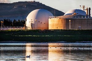 El Ministerio incluye las lagunas de la depuradora de Cabezo Beaza (Cartagena) en un inventario nacional de humedales