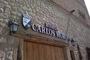 AEMA optimiza la depuradora de Bodegas y Viñedos Carlos Moro del Grupo Matarromera en La Rioja