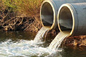 EMASESA adjudica a la UTE IMPULSA - DBO5 la asistencia técnica para implementar el Programa de seguimiento del estado ecológico de sus ecosistemas acuáticos