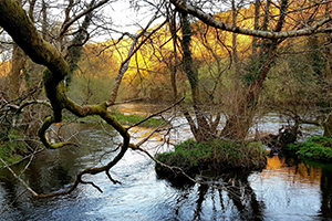 La Xunta recibe 10 ofertas para impulsar 2 innovaciones que mejoren la gesti&oacute;n del agua y aumenten su resiliencia