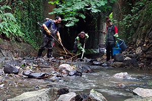 Las aguas de depuradora influyen en el ecosistema fluvial, aunque estén bien tratadas y muy diluidas