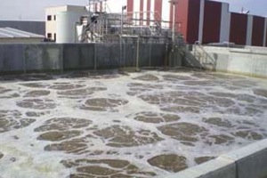 AEMA participa en el curso de Depuración de Aguas Residuales Industriales organizado por AQUA ESPAÑA en Madrid