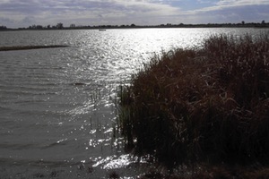 El MAGRAMA adjudica por 4,28 millones un nuevo bloque de actuaciones para la mejora del saneamiento en el entorno de Doñana