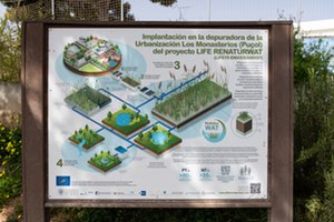 IIAMA-UPV fortalece la biodiversidad con la reintroducción de ejemplares de gallipato en una EDAR, con el LIFE Renaturwat
