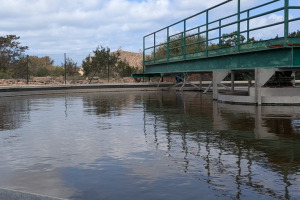 ABAQUA licita la modernizaci&oacute;n del tratamiento de lodos en las depuradoras de Baleares