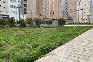 HOFIDRAIN busca promover los SUDS como medida de adaptación al cambio climático en los procesos de regeneración urbana