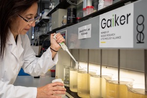 GAIKER trabaja en el desarrollo de nuevos materiales y procesos para el tratamiento de aguas