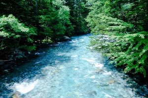Soluciones de agua contra la contaminación por plásticos en el "Día Mundial del Medio Ambiente"