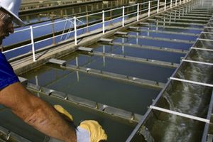 ¿Qué planes tenemos para proteger el agua de los ataques terroristas?