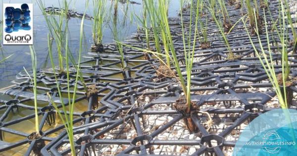 Estructura soporte AQ3M: El pilar de la viabilidad de los humedales en flotaci&oacute;n