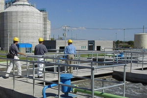 Tratamiento biológico de las aguas residuales de la cuenca central de México. Valuación de los métodos empleados