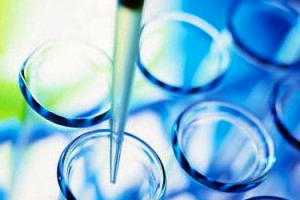 Análisis microbiológico de un suelo agrícola mediterráneo tras la aplicación de lodos de depuradora urbana