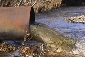Eliminación de metales pesados de aguas subterráneas mediante sistemas de lechos sumergidos: estudio microbiológico de las biopelículas