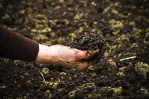 Estudio de contaminantes orgánicos en el aprovechamiento de lodos de depuradora de aguas residuales urbanas