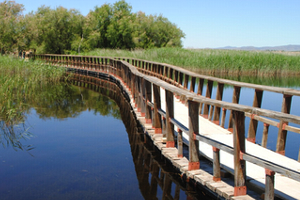 Estudio de la aplicación de efluentes tratados de depuradora para la inundación en situaciones de emergencia del parque nacional de las lagunas de Daimiel