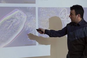 Estudio de la dinámica poblacional de protistas, metazoos y bacterias filamentosas y su interpretación ecológica en fangos activos