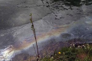 Identificación y cuantificación de contaminantes emergentes en aguas residuales en la ciudad de Morelia Michoacán