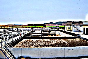 Diseño de una planta para la producción de biofertilizante a partir de cianobacterias cultivadas en el agua residual urbana
