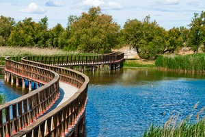 Diseño y modelización de humedales para el tratamiento de efluentes de depuradora; Aplicación en el entorno del Parque Natural de las Tablas de Daimiel