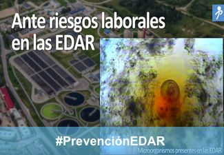 Prevención y evaluación de patógenos en las EDAR